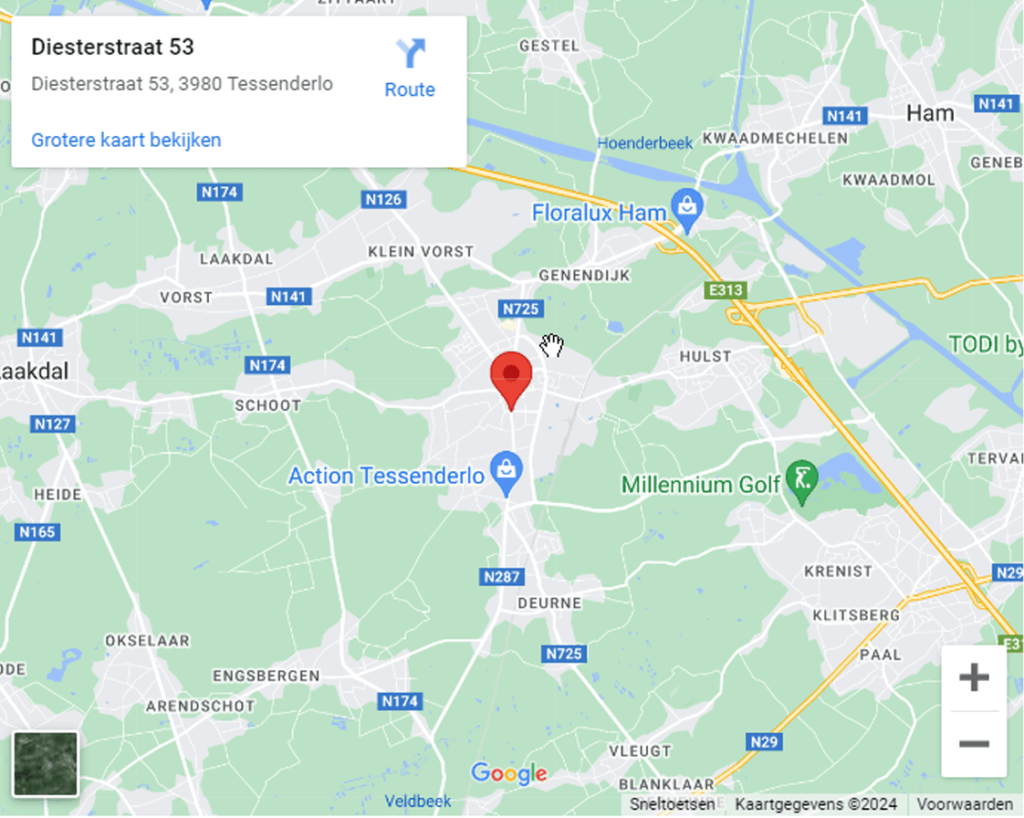 Google Maps afbeelding winkel Tessenderlo (Diesterstraat)