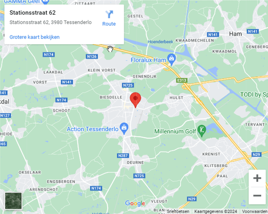 Google Maps afbeelding winkel Tessenderlo (Stationsstraat)