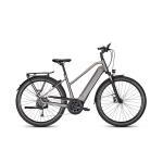 Kalkhoff Endeavour 3.B Move Mixte