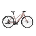 Riese & Muller UBN Seven Silent