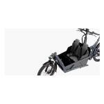 Riese & Muller Load 60 vario HS