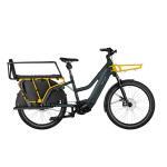 Riese & Muller Multicharger Mixte GT Vario