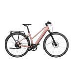Riese & Muller UBN Seven vario