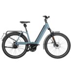 Riese & Muller Nevo4 GT Vario HS