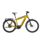 Riese & Muller Supercharger GT Vario