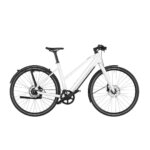 Riese & Muller UBN Seven Silent