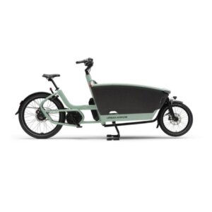 Urban Arrow FamilyNext Advanced AutomatiQ Sage Green