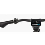 Riese & Muller Delite5 GT Pinion