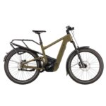 Riese & Muller Delite5 GT Pinion HS