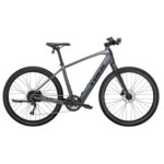 Trek Dual Sport+ 2