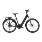 Trek Verve+ 3 Lowstep 545Wh Gen3