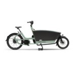 Urban Arrow FamilyNext Adv Automatiq