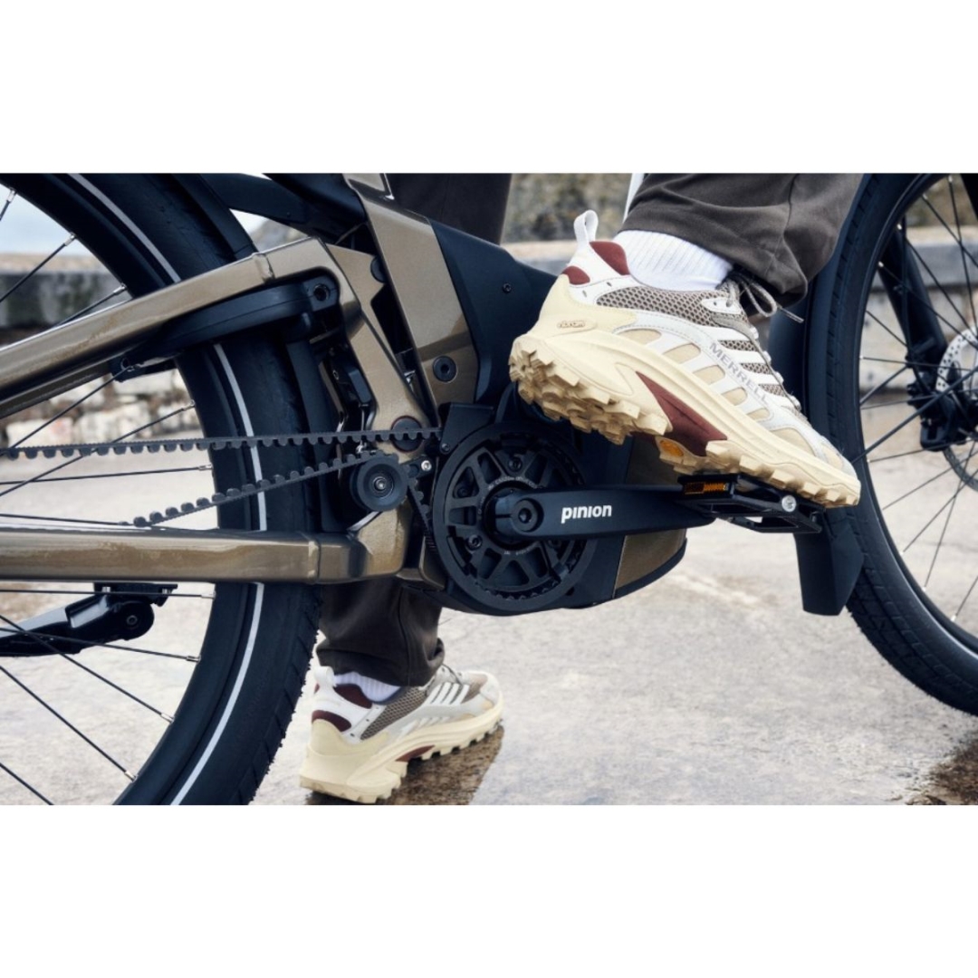 Riese & Muller Delite5 GT Pinion