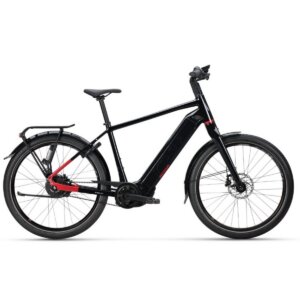 Koga Pace B10 Heren