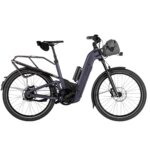Riese & Muller Homage5 Vario
