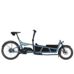 Riese & Muller Load5 75 Vario