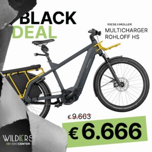 Multicharger GT rohloff HS