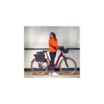 Riese & Muller set fietsmanden Swing3 / Swing4