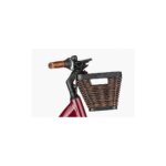 Riese & Muller Swing5 Vario