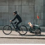 Thule hondenfietskar Bexey Medium