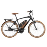 Riese & Muller Cruiser Vario