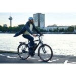 Riese & Muller Cruiser Vario