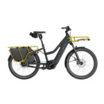 Riese & Müller -Multicharger3 Mixte Vario