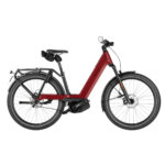Riese & Müller - Nevo5 Pinion HS