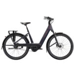 Trek - Charter+ 4