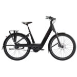 Trek - Charter+4