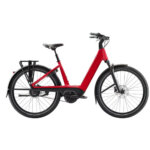 Trek - Charter+4
