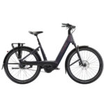 Trek - Charter+4
