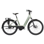 Trek - Charter+4