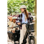 Urban Arrow - Cargo Pannier Breeze