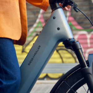 Riese & Müller Nevo5 vario Core