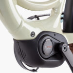 Riese & Müller Swing5 vario