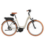 Riese & Müller Swing5 vario