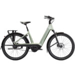 Trek - Charter+ 4