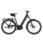 Riese & Müller Nevo5 pinion HS