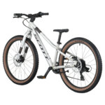 Scott Scale 400